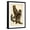 Black Frame, variant on Art.com Great Horned Owl Art Print by John James Audubon, 12" x 18"