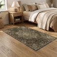 thumbnail image 2 of ODIKA 5'x7' Washable Area Rug Boho Scroll Frame Distressed Border Scrolls Ornamental Vintage Flowing Dynamic for Small Living Room, Bedroom, Easy Care, Non-Shedding, Pet Friendly, 2 of 7