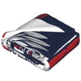 thumbnail image 2 of Bingfone Mallard Duck With American Flag Print Flannel Fleece Blanket Throw Blanket for Bed,Sofa,Couch,Travel,Camping(40"x30" ), 2 of 8
