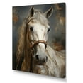 thumbnail image 3 of Designart "Equestrian Duality The White Horse II" Animals Canvas Wall Art, 3 of 6