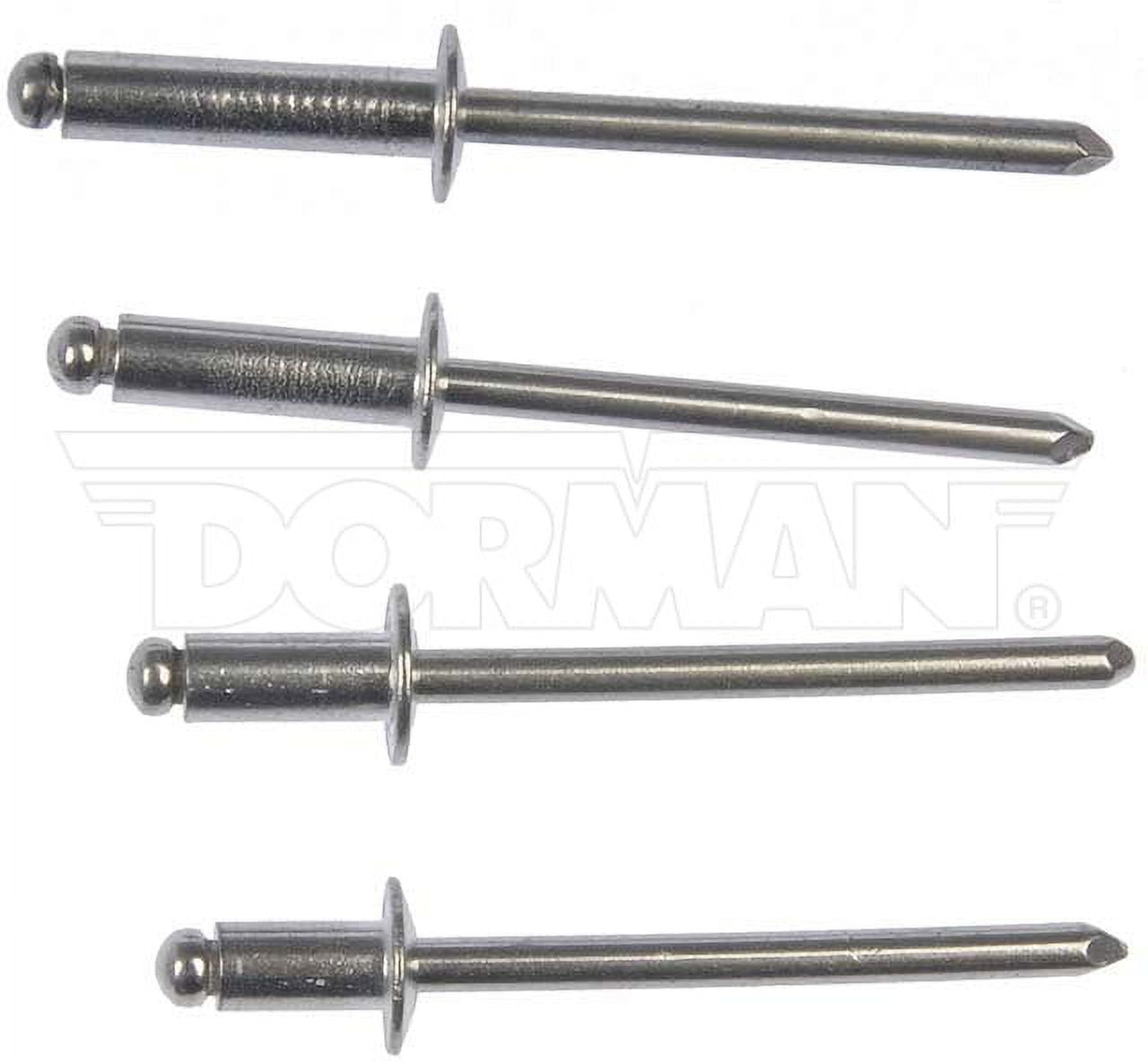 Dorman OE Solutions - Rivet Assortmnt