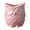 A, variant on Owl Shaped Ceramic Succulent Planter Garden Container