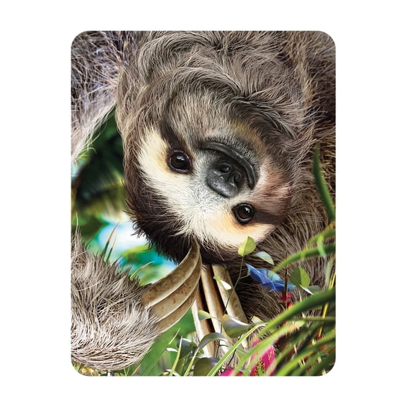 3D LiveLife Magnet - Hangin' Around from Deluxebase. Lenticular Wild Animal Refrigerator Magnet. Decorative 3D Sloth Flat Magnets. Cute Small Magnets for Fridge, Dishwasher and Whiteboard.
