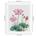 thumbnail image 2 of Paint by Numbers Kit for Adults, Pink Lotus Elegance Blossom Art Paint by Numbers, Easy Paint by Numbers Kit for Adults Beginner, DIY Adult Paint by Number Kits on Canvas, 12x16in Home Decor, 2 of 7
