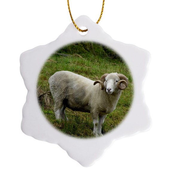 3drose, Ireland, Ring of Kerry, Sheep Ranch Ram - Eu15 Cmi0019 - Cindy Miller Hopkins, 3 inch Snowflake Porcelain Ornament