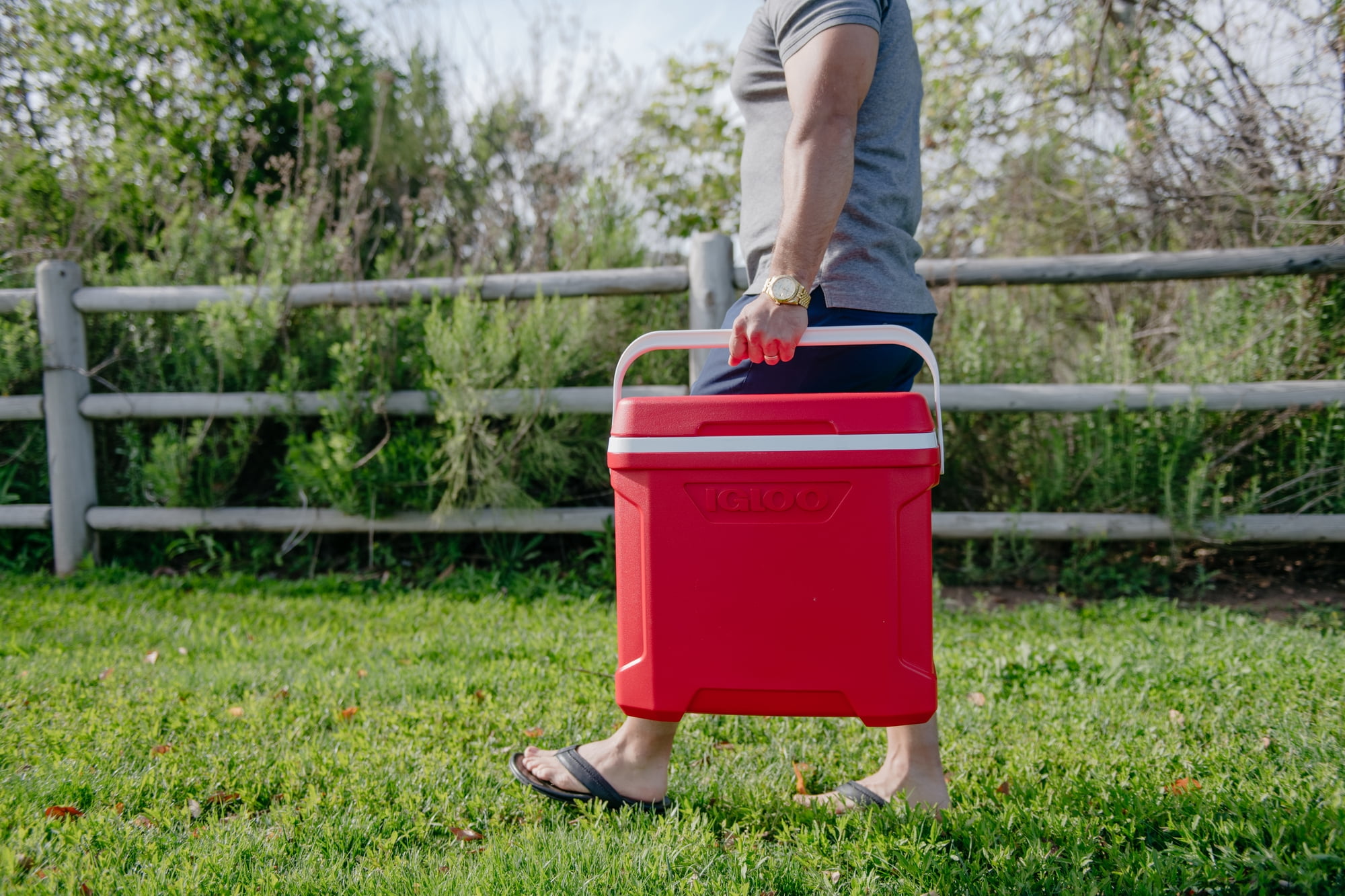 Igloo 30 qt. Profile II Series Ice Chest Cooler - Red