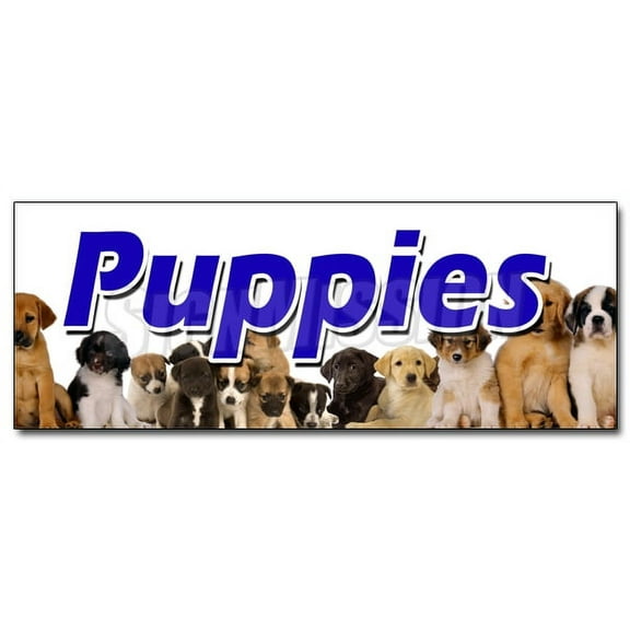 24" PUPPIES DECAL sticker purebred breeder guaranteed cats healthy dogs
