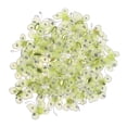 thumbnail image 1 of MasteelfCA 50pcs Simulation Wired Mesh DIY Wedding Craft Decoration Home Decoration(Light Yellow), 1 of 7