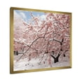 thumbnail image 2 of Designart "Snow on Winter Cherry Blossoms in Pink Tree" Floral Framed Wall Art Decor - Traditional Pink Cherry Blossom Hallway Framed Wall Art Decor, 2 of 6