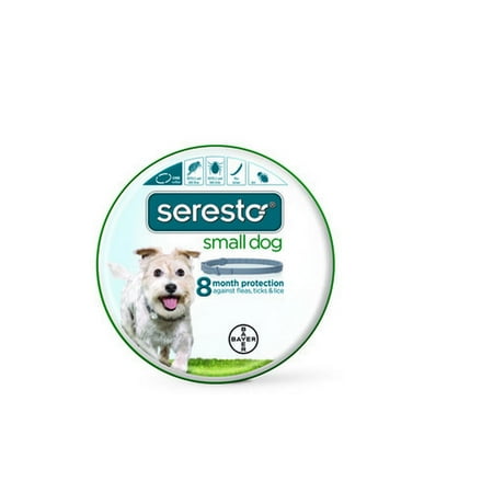 seresto flea tick collar bayer seresto flea and tick collar small walmart seresto flea tick collar bayer seresto flea and tick collar small walmart