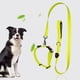 thumbnail image 3 of FloreceBien Adecuado para caminar de noche en la oscuridad con correa de cuero para perros que brilla en la oscuridad y cinturón de seguridad iluminado por USB recargable, 3 of 5