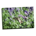 thumbnail image 2 of Gango Home Decor Lavender & Butterfly I by Dana Styber (Ready to Hang); One 36x24in Hand-Stretched Canvas, 2 of 4