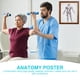 thumbnail image 3 of Póster de anatomía humana. Póster de enseñanza de anatomía. Decoración para colgar en la pared. Póster de anatomía., 3 of 7