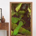 thumbnail image 4 of Cortinas opacas Shego para decoración del hogar, cortinas aislantes para ventanas, cortinas para dormitorios y salas de estar, 4 of 7