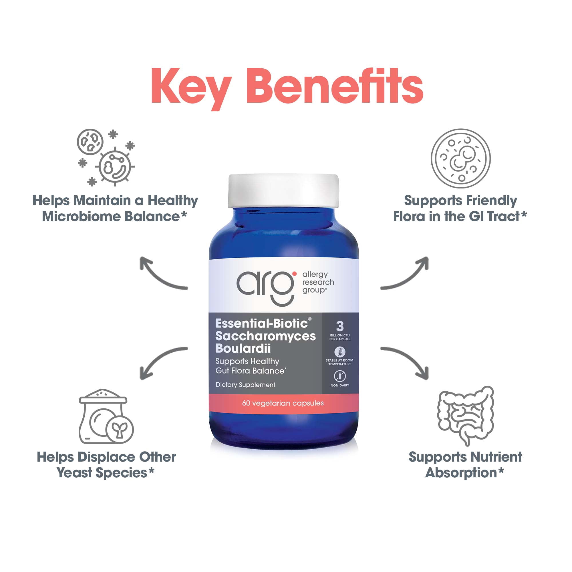 Allergy Research Group Essential-Biotic Saccharomyces Boulardii 450mg Probiotic Supplement - S. Boulardii Probiotic Yeast, Friendly Bacteria Establishment, GI Tract Support - 60 Count