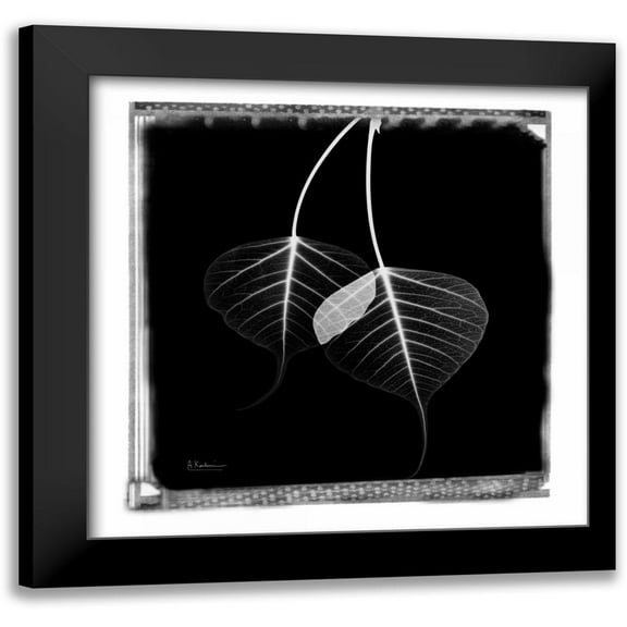 Koetsier, Albert 12x12 Black Modern Framed Museum Art Print Titled - Bodhi Tree STAR