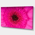 thumbnail image 2 of Macro Photo of Gerbera Flower - Flowers Canvas Wall Artwork, 2 of 4