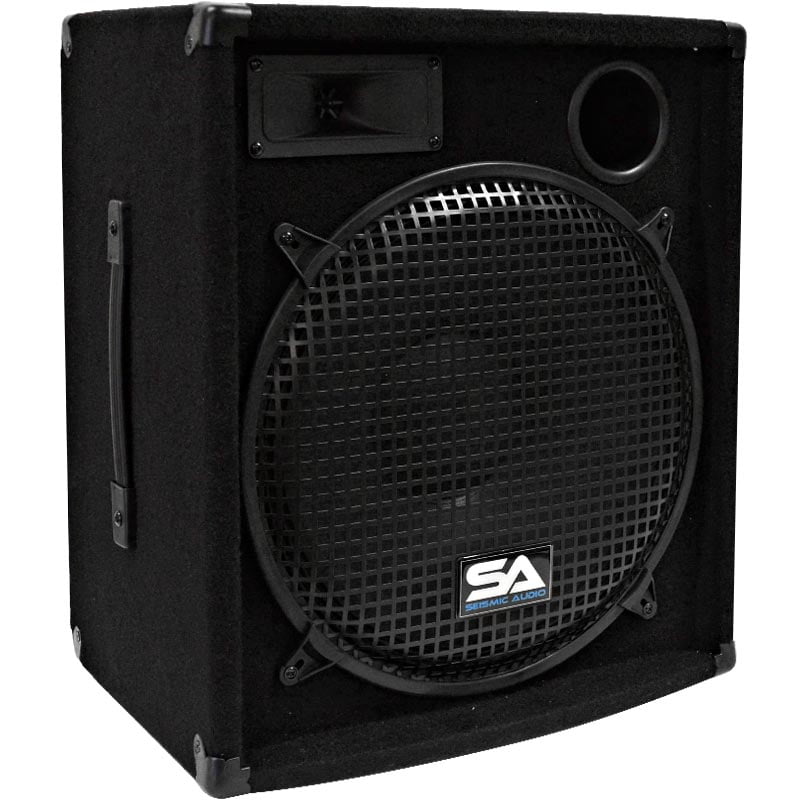 p audio speaker 15 inch 300 watt