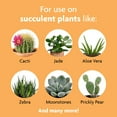 thumbnail image 3 of Miracle-Gro Succulent Plant Food, 8 oz., For Succulents including Cacti, Jade, And Aloe, 3 of 5
