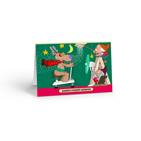 Stonehouse Collection Funny Christmas Cards, Flight School Holiday Cards, 12 Boxed Cards with Envelopes, Made in the USA (Standard)