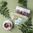 thumbnail image 4 of Tea Prince of Peace Organic Oolong 100 bolsitas de té 100% orgánico, 4 of 8