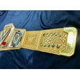 WWE Universal Championship REAL CHAMPION Adult Size Replica Gold