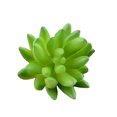 thumbnail image 2 of 10x Fake Succulents Small Vivid Useful Simulated Plants Multi-functional Lifelike Photo Props for Household Yards Lawn Flowerpot Type 10, 2 of 9