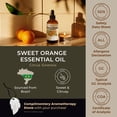 thumbnail image 5 of Gya Labs Sweet Orange Essential Oil with Aromatherapy stone, 5 of 5