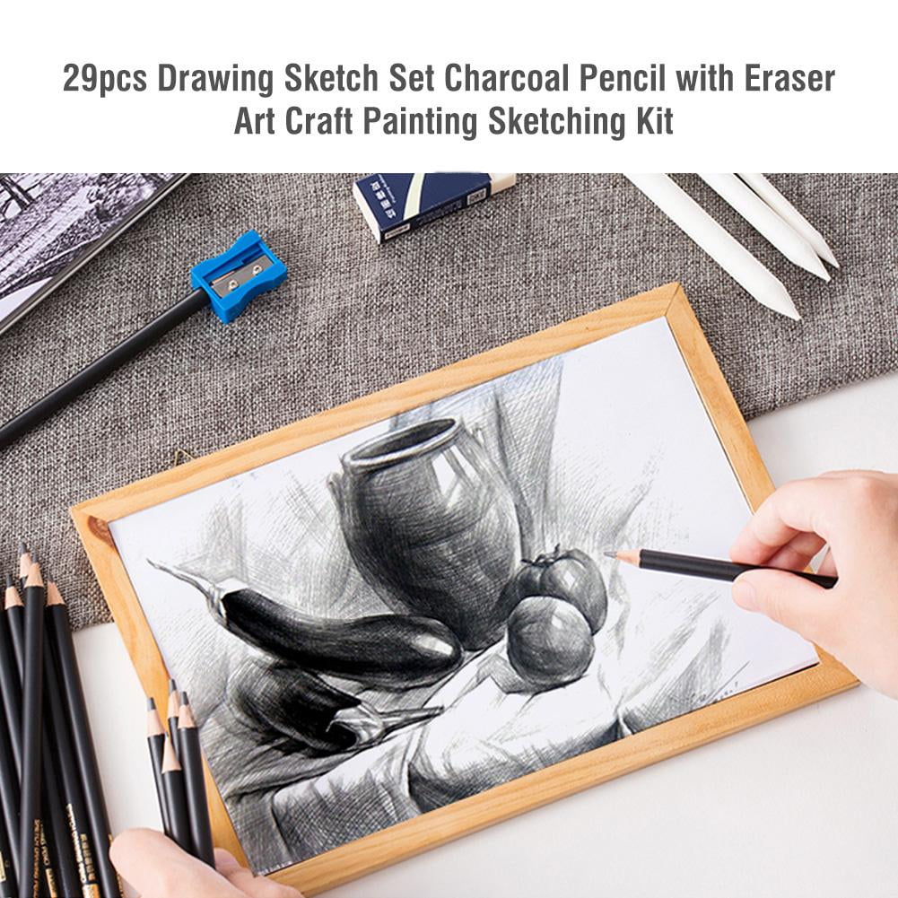 40x Pro croquis dessin art crayon Kit étudiant graphite charbon bâton artiste 