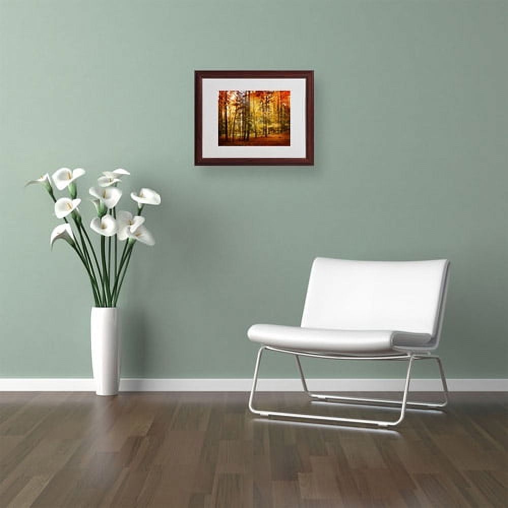 Trademark Fine Art "Fall Color" Canvas Art by Philippe Sainte-Laudy, Wood Frame