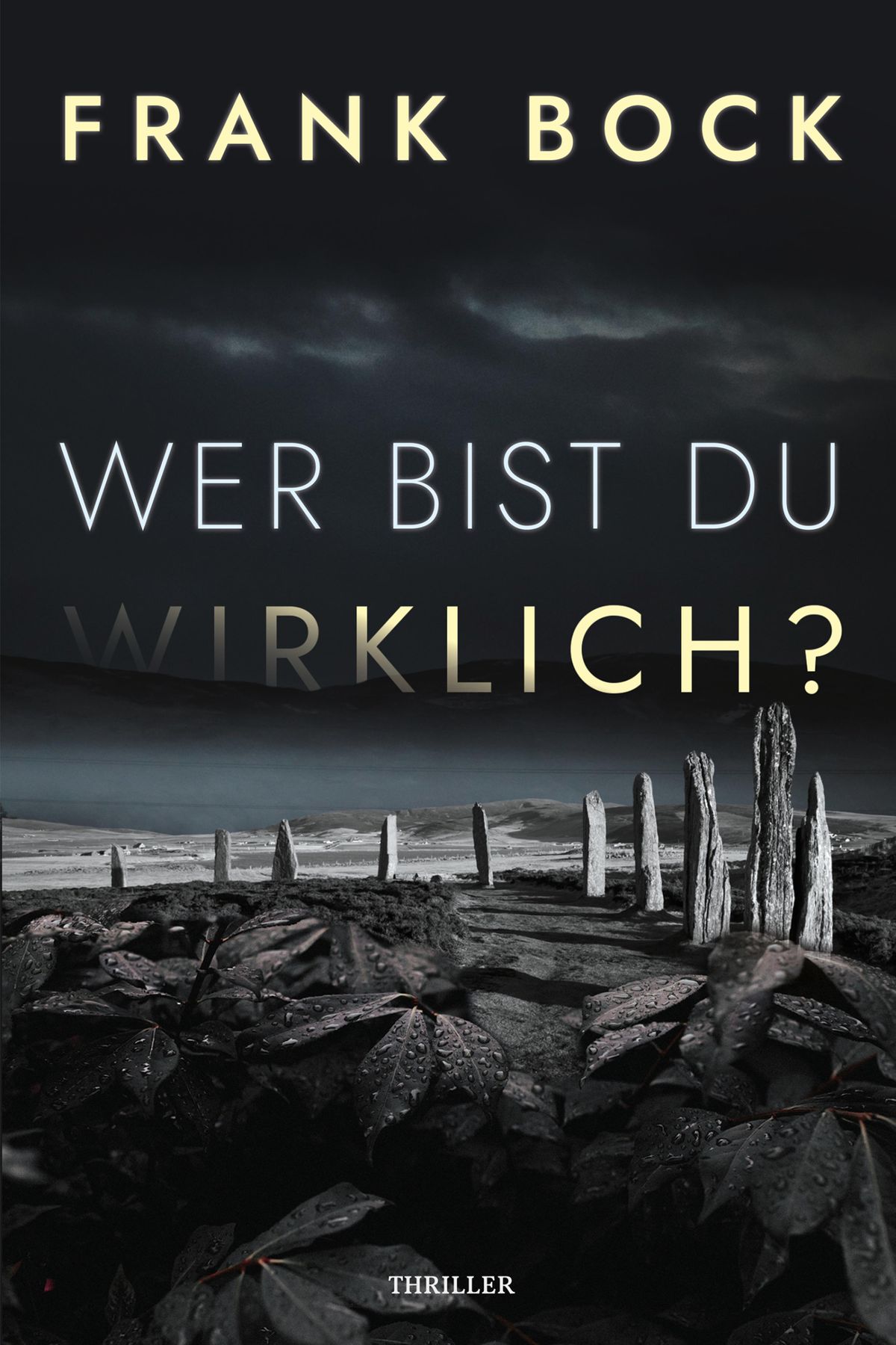 Wer bist Du wirklich? eBook