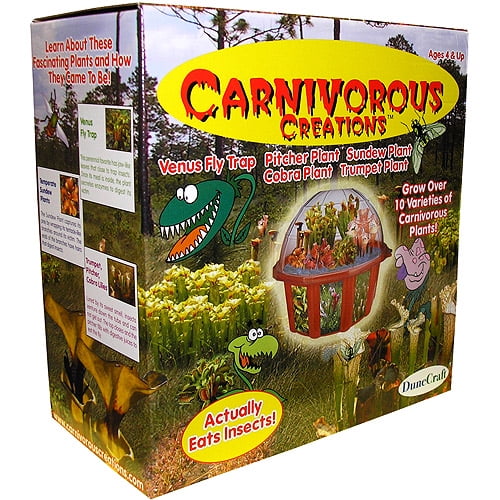 Carnivorous Creations Plant Growing Kit Walmart Com Walmart Com