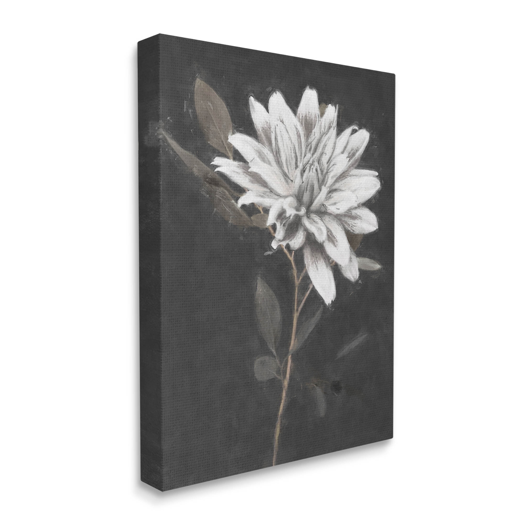 Stupell Industries Blooming Dahlia Flower Black Background Painting Gallery Wrapped Canvas Print Wall Art, Design by Nina Blue