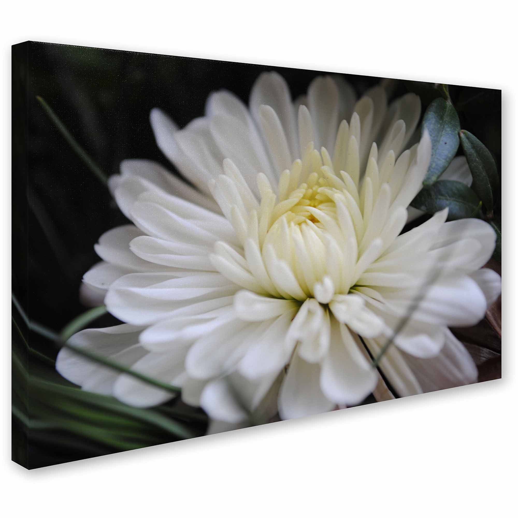 Trademark Fine Art "Vintage Culture" Canvas Art by Monica Fleet