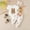 R75-Coffee, variant on RMGVDSD Baby Girl Clothes Infant Boys Girls Short Sleeve Easter Rabbit Embroidery Romper Bodysuit Pants With Headband 3Pcs Outfits Leisure Party Wear