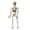 E-#001, variant on Posable Plastic Skeleton Mini Full Body Skeleton Decor, Jack O Lantern Skeleton Hanging Skeleton Prop, Skeleton Decoration Halloween Decorations for Yard Haunted House Party