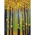 thumbnail image 3 of Pulliam, Mark 12x14 Black Modern Framed Museum Art Print Titled - Colors of Fall I, 3 of 5