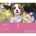 Trends International 2023 Keith Kimberlin Puppies DayataTime Box