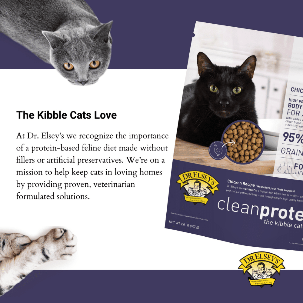 Dr. Elsey's cleanprotein Grain-Free Chicken Flavor Dry Cat Food for All Life Stages, 2 lb. Bag