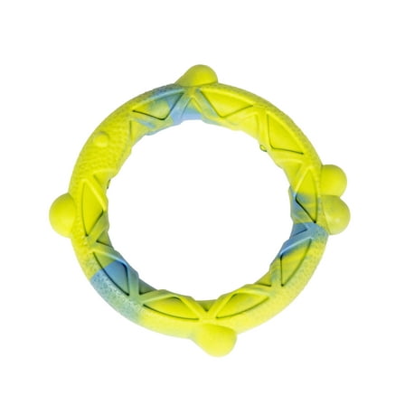 Vibrant Life Floating Rubber Ring Dog Toy
