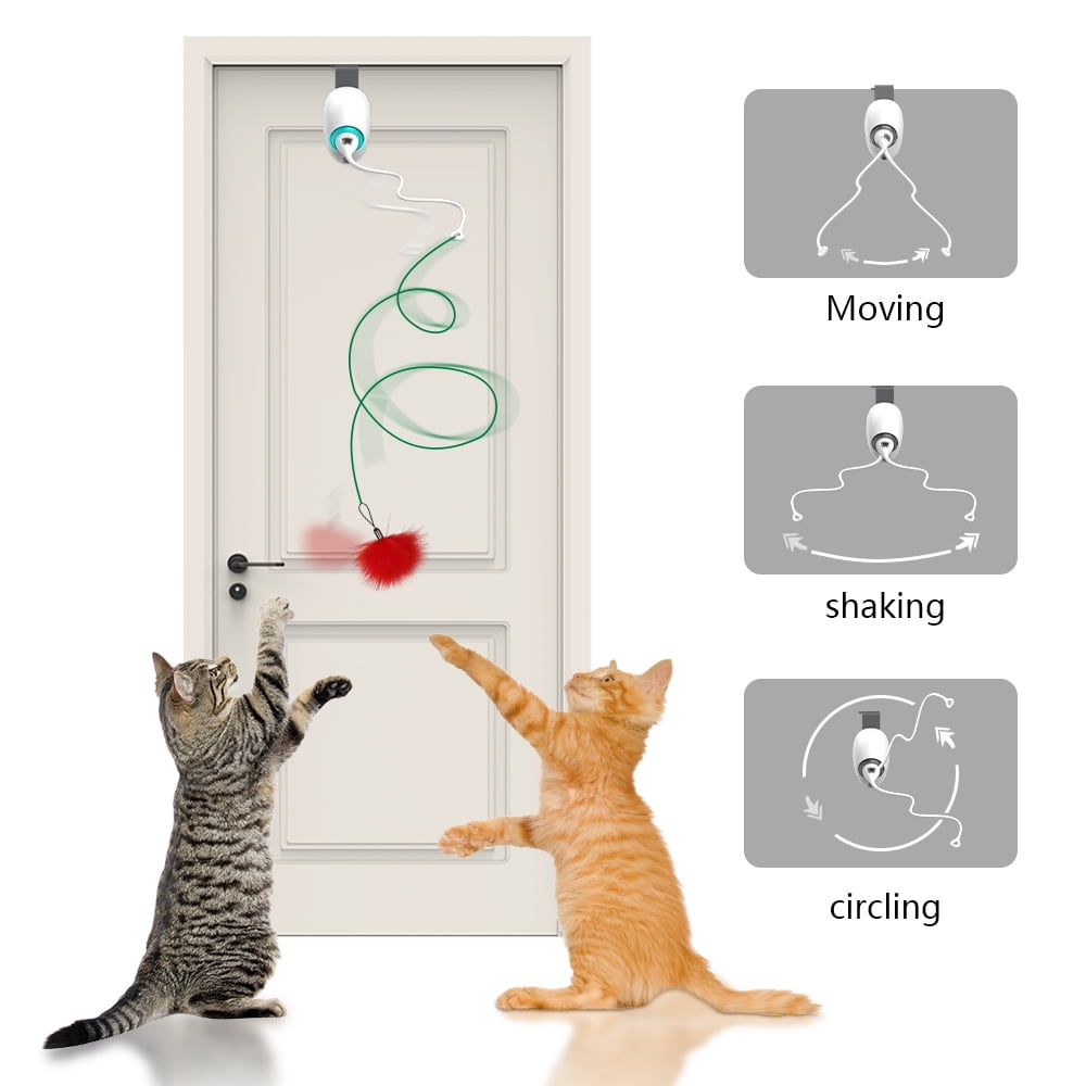 Over door best sale hanging cat toy