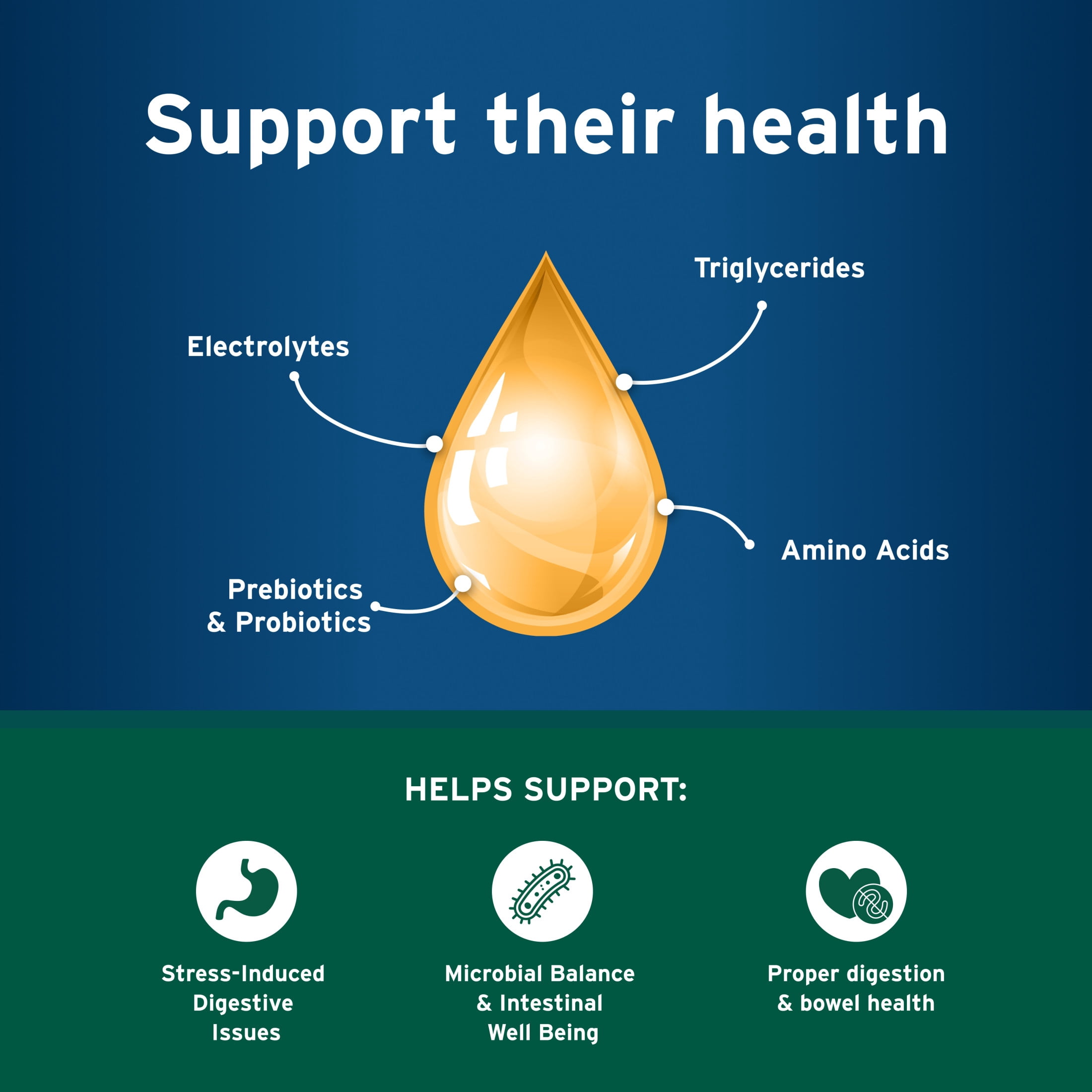 Pet Protect Dog Probiotic Balance+ Oral Gel, Vet-Formulated Endurosyn, Chicken Flavor, 32g