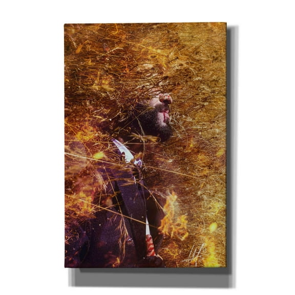 Cortesi Home 'Phoenix' by Mario Sanchez Nevado, Canvas Wall Art, 12"x18"