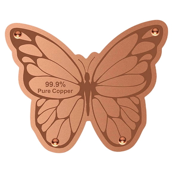 MKHSQHDG Todays Deals Clearance Sale Bird Bath Plate Decorative Purification Plate with Support Points Natural All Weather Water Suitable for Outdoor Bird Bath Tubs and Bowls Multiple Choices