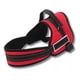 thumbnail image 1 of Correa De Pecho Nylon Para Perros, Entrenamiento Ajustable, 1 of 6