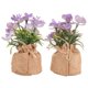 thumbnail image 3 of 2pcs Artificial Flowers Plastic Orchid Arrangements In Pots For Garden Decor, 3 of 3
