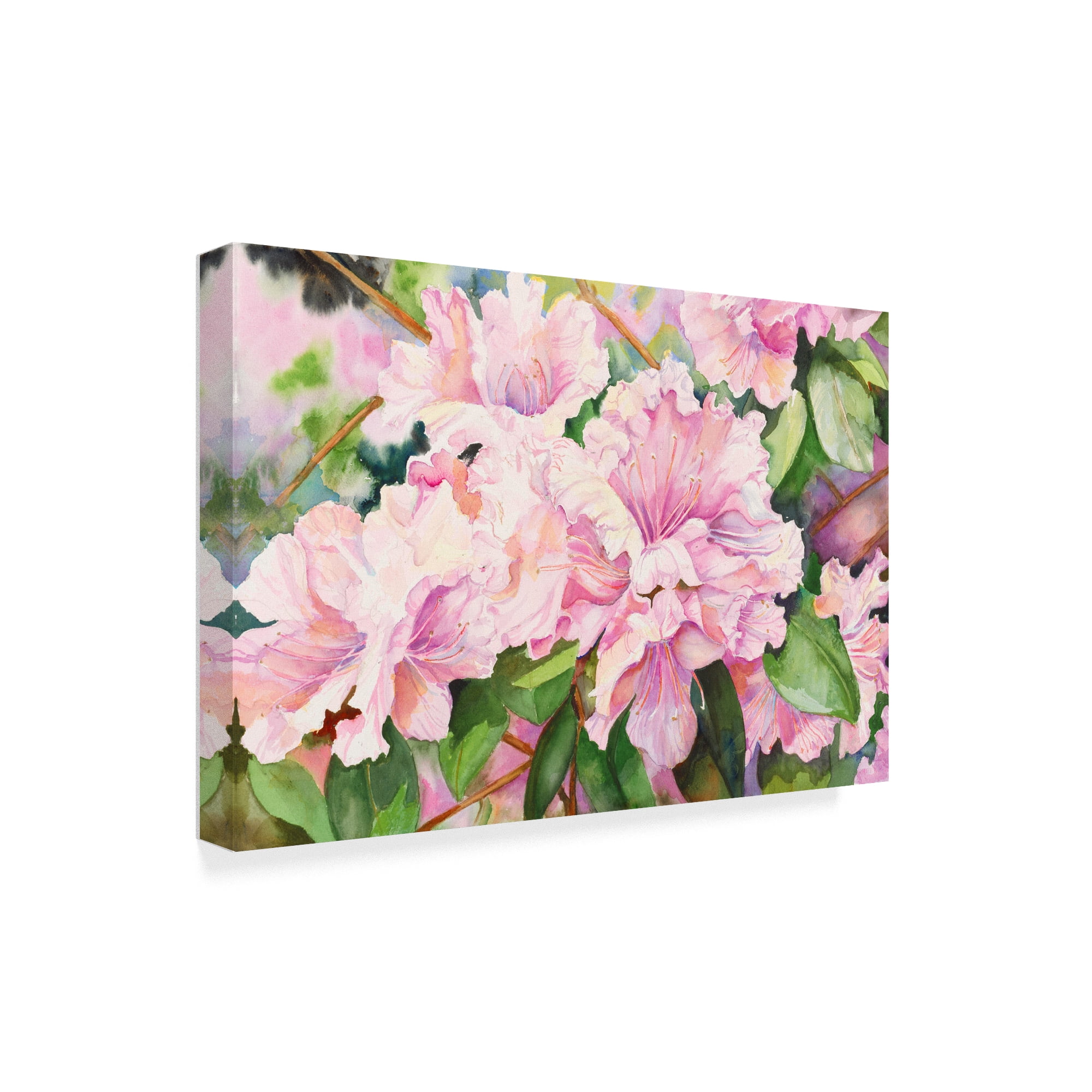 Trademark Fine Art 'Sun Lit Azalea' Canvas Art by Joanne Porter
