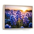 thumbnail image 2 of Designart "Blue Bonnets landscape Photo I" Floral Floater Framed Wall Decor, 2 of 7