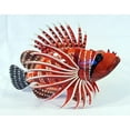 thumbnail image 3 of Hand Painted Tropical fish Fish Statue 8", 3 of 5