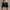Black, variant on Mens Athletic Shorts Qiggri Men Solid Cotton Three-Point Pants Sports Elastic Mid-Waist Lace-Up Shorts
